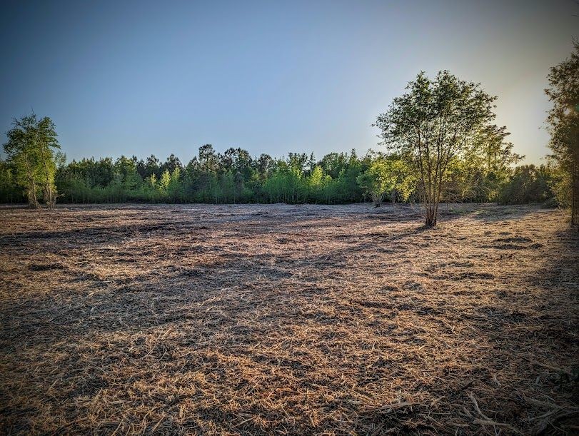 Reclaiming unused land in North Carolina